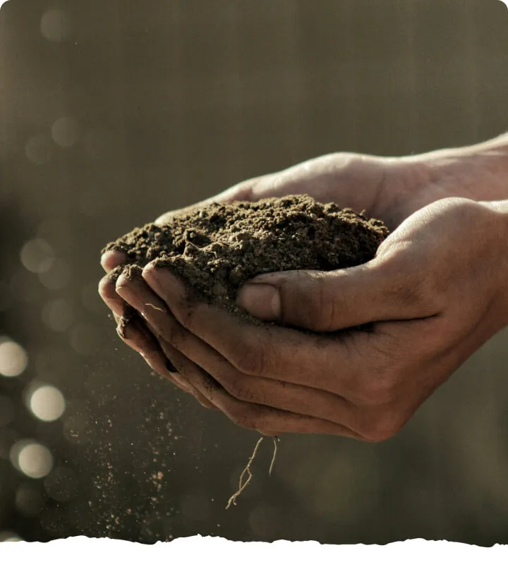 hands holding soil