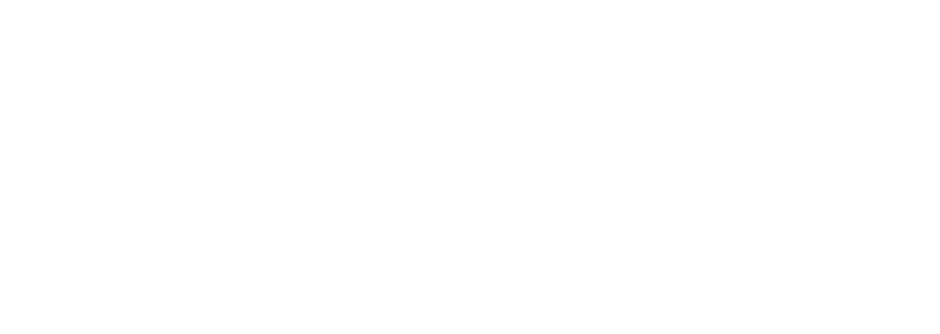 Echo Neurotechnologies Logo