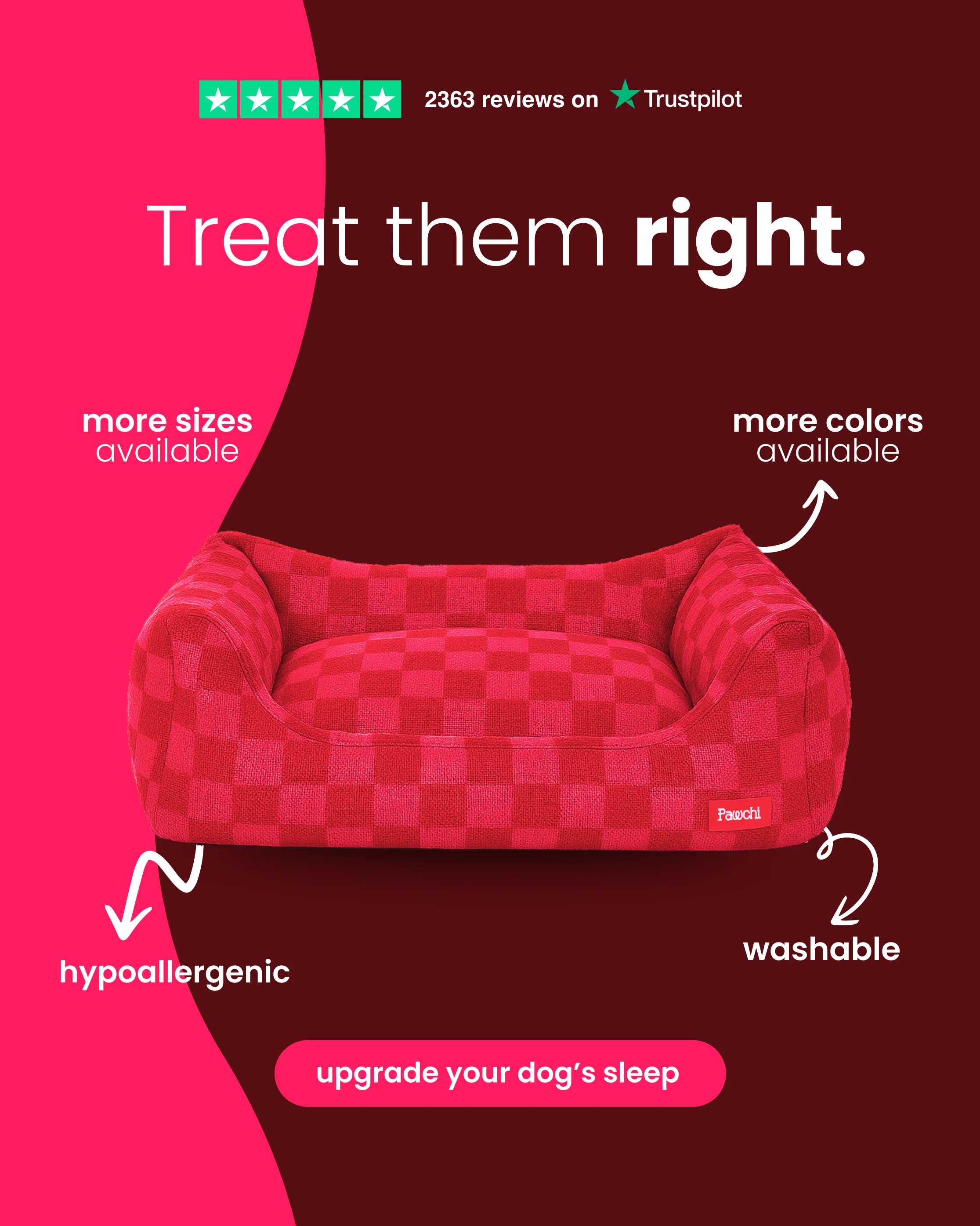 pawchi ad creative