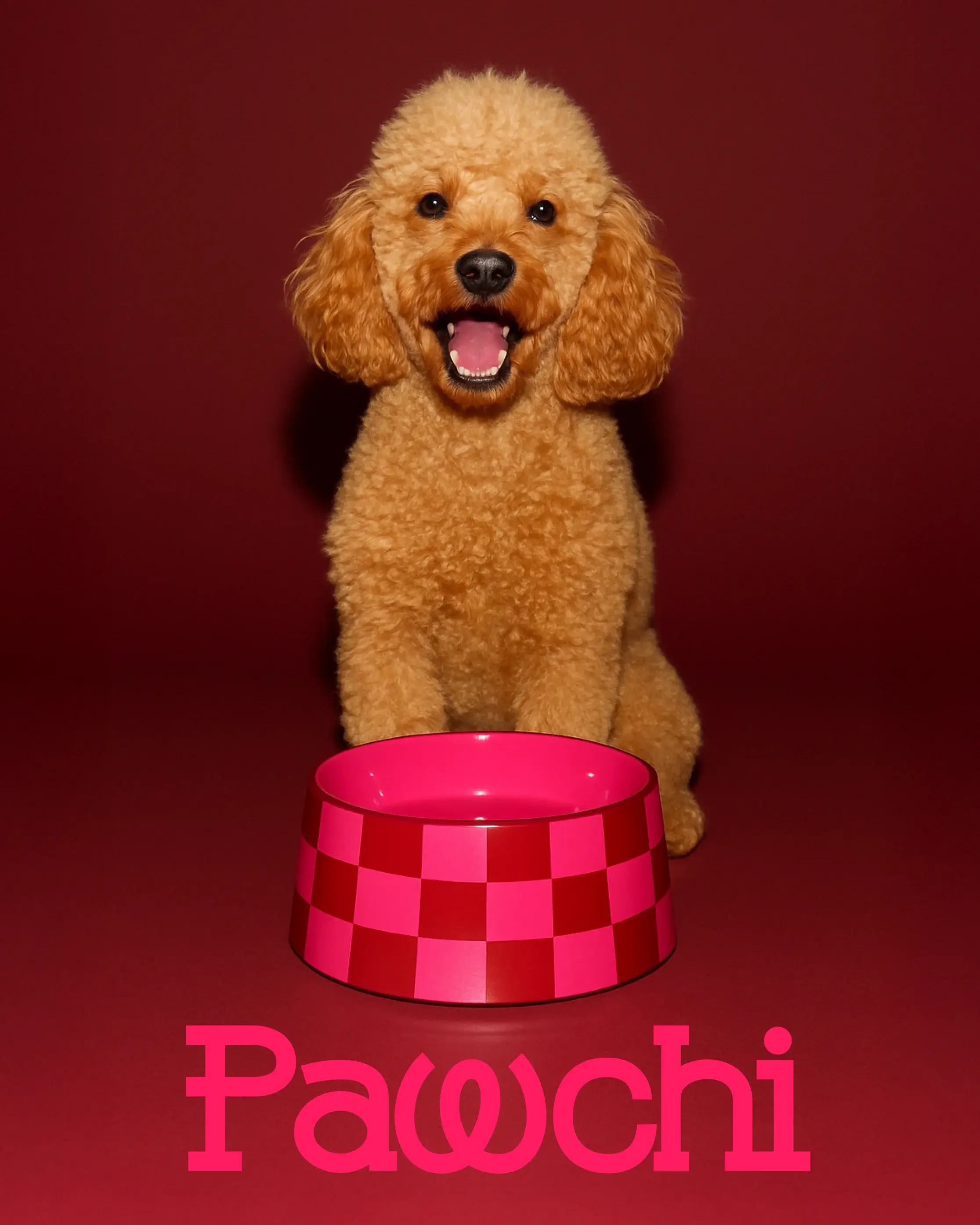 Close-up van het Pawchi logo op een duurzame verpakking