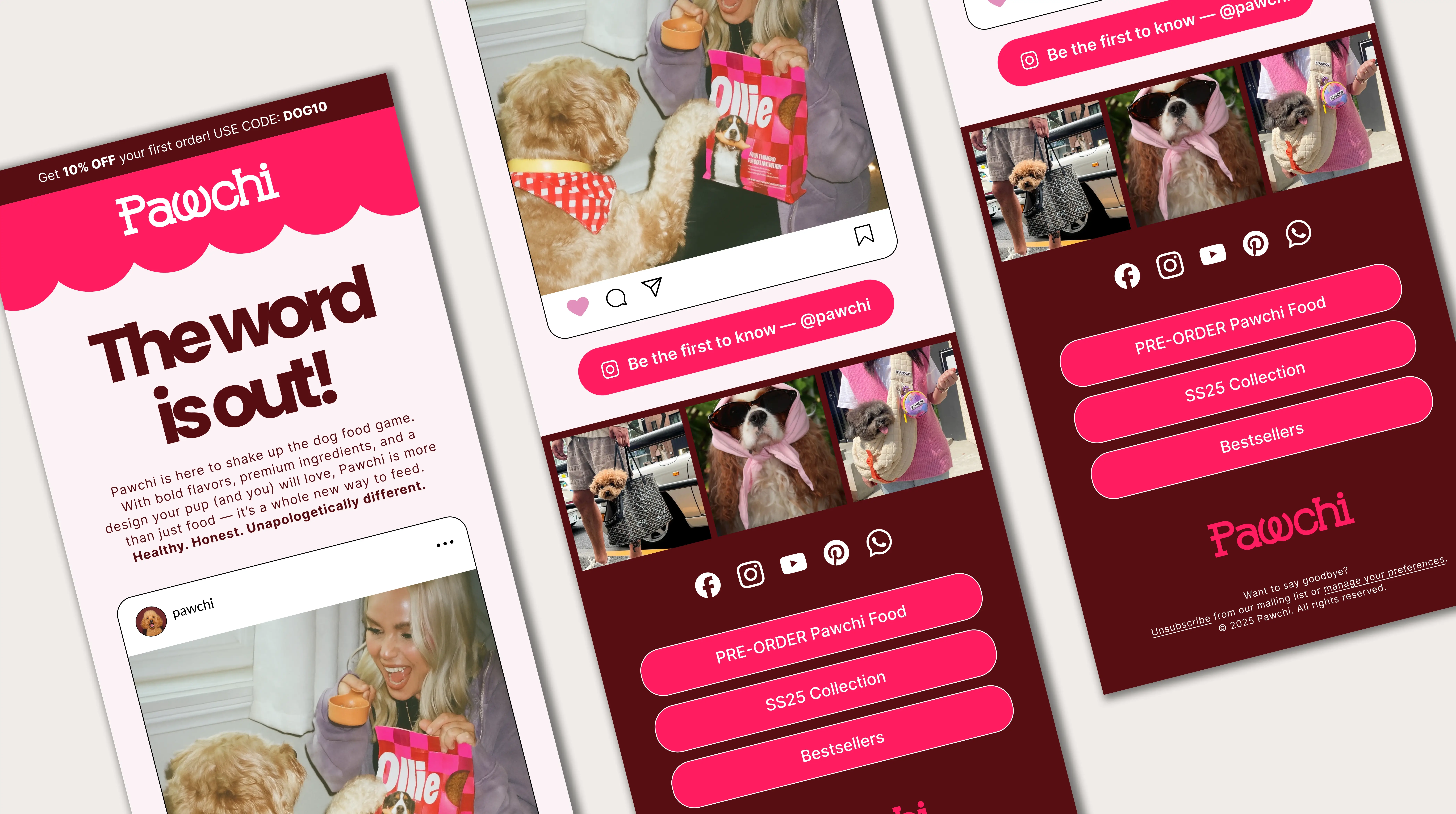 e-mail marketing voor pawchi 