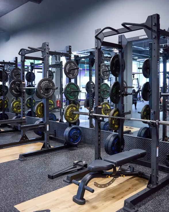 Weightlifting bench and squat rack with various colorful weight plates in a modern gym setting with mirrored walls.