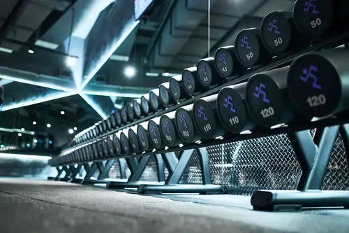Row of black dumbbells with weight labels on a rack in a modern gym.