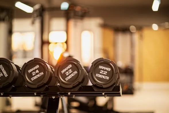 Nahaufnahme eines Regals mit mehreren Hammer Strength-Hanteln in einem Fitnessstudio mit verschwommenem Hintergrund.