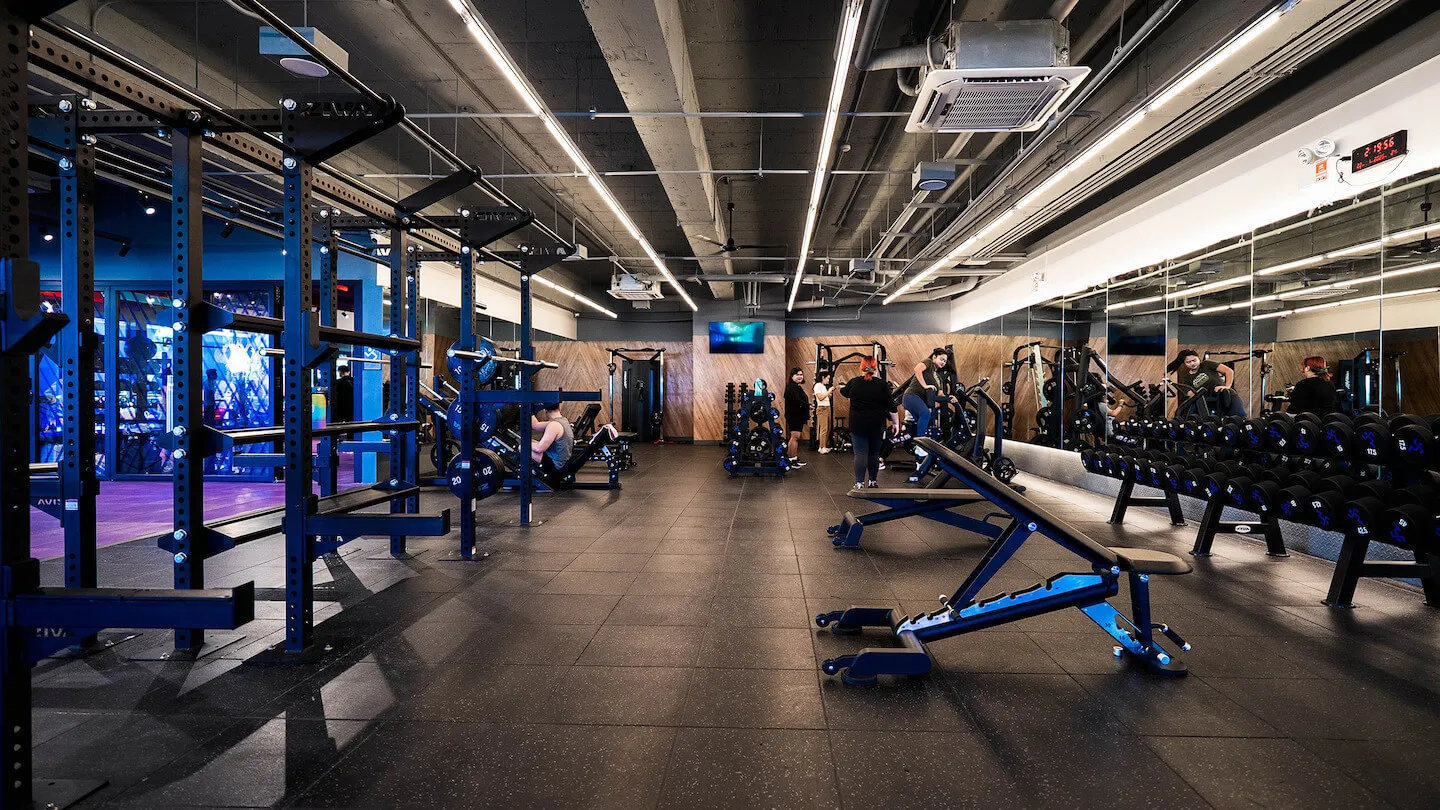 Gym strength training area with squat racks, dumbbells, and adjustable benches.