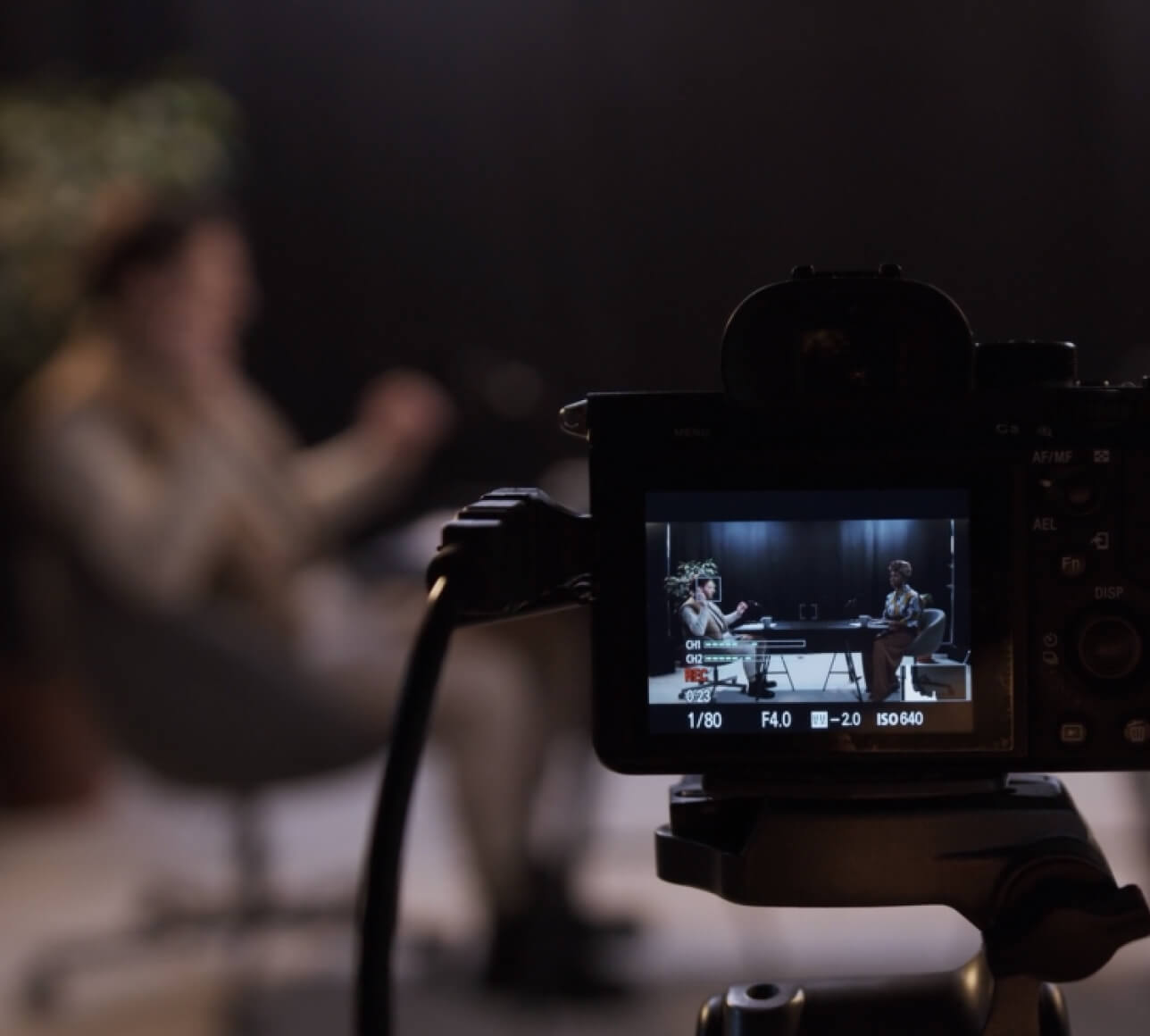 Documentary filmmaking