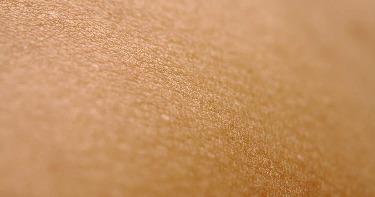Close-up of skin texture in warm natural light