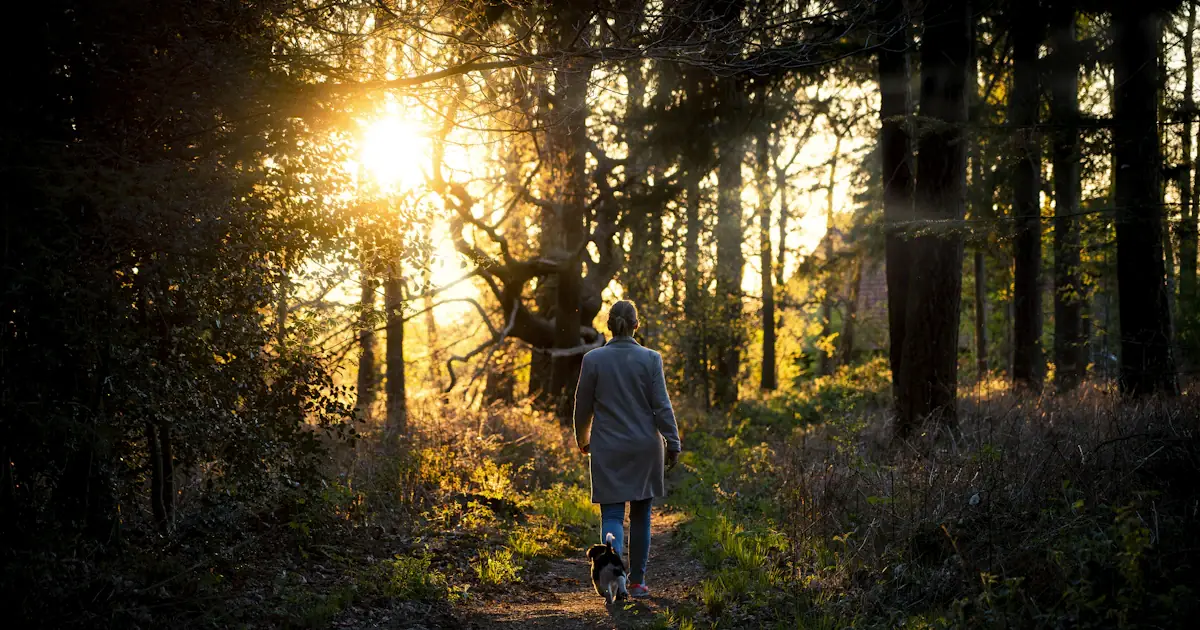 How to Balance Hormones Naturally in Perimenopause