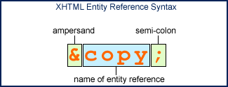 XHTML Entity Reference Syntax - An ampersand & followed by a name (e.g. copy) followed by a semi-colon ;