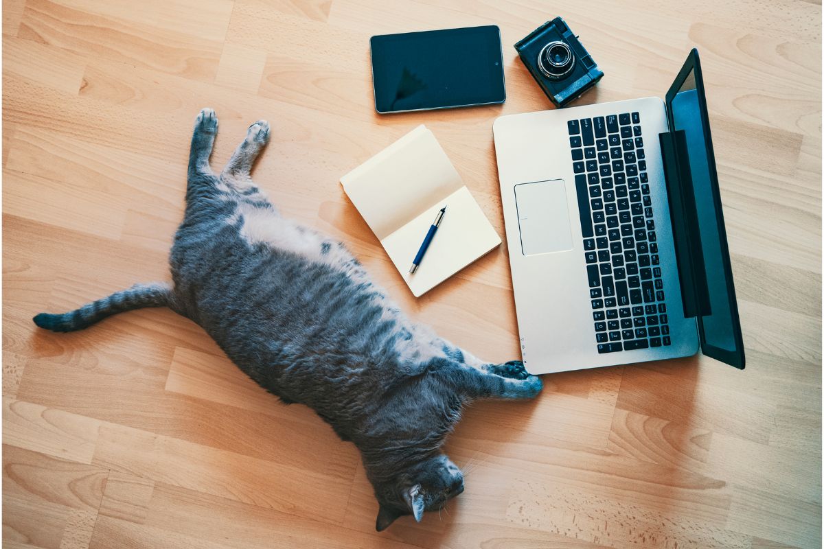 how-to-fully-embrace-a-lazy-day