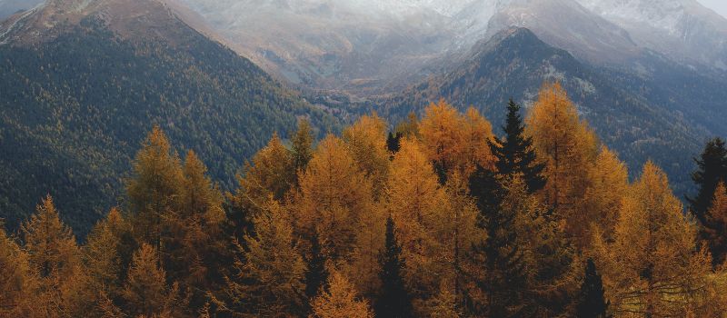 budget-friendly-fall-getaway-day-trips