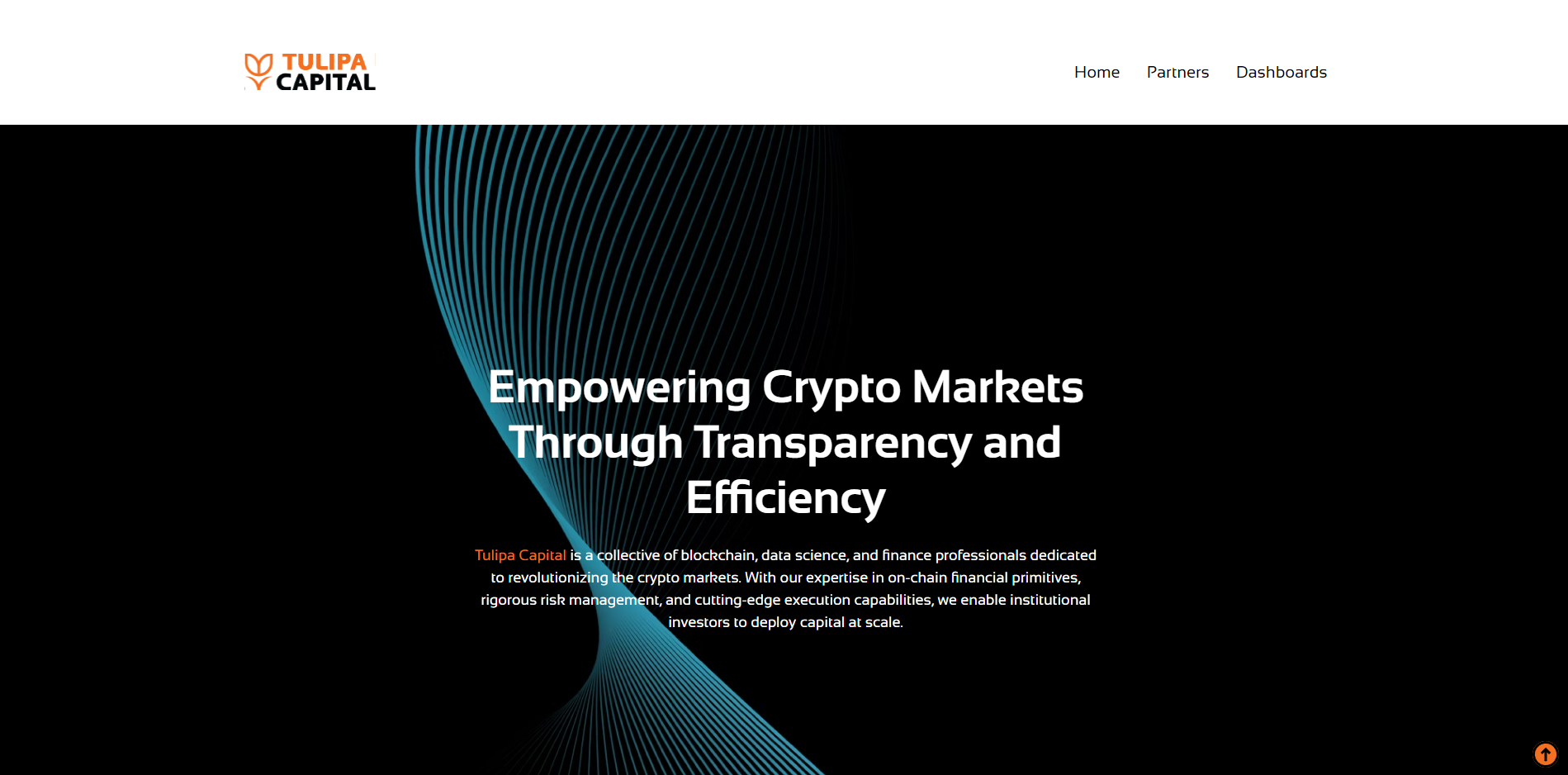 Tulipa Capital cover