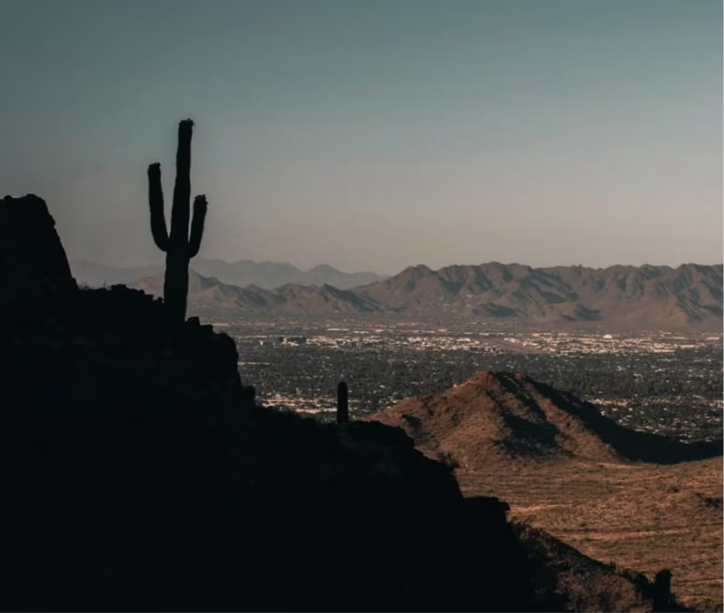 Phoenix