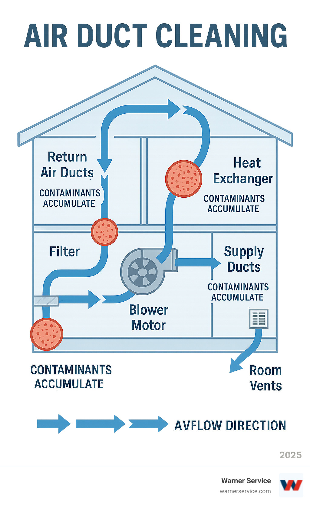 Detailed infographic showing the path of air circulation through a home's HVAC system, highlighting key components where contaminants accumulate including return air ducts, filters, blower motor, heat exchanger, supply ducts, and room vents, with arrows indicating airflow direction and problem areas marked in red - air duct cleaning infographic 