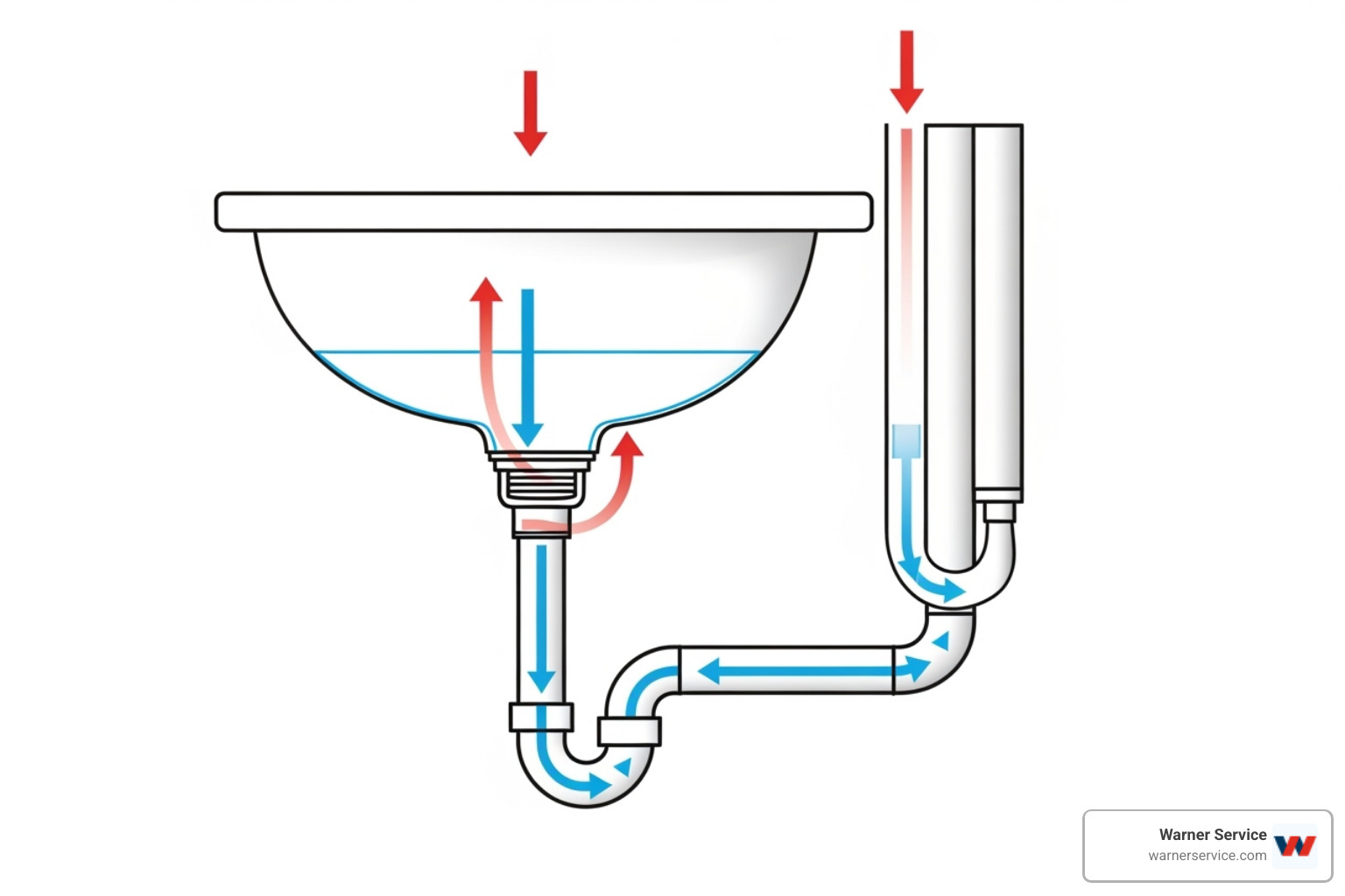 Diagram showing how a P-trap and a plumbing vent stack function together, illustrating air flow and water seal - drain cleaning making noise in frederick md