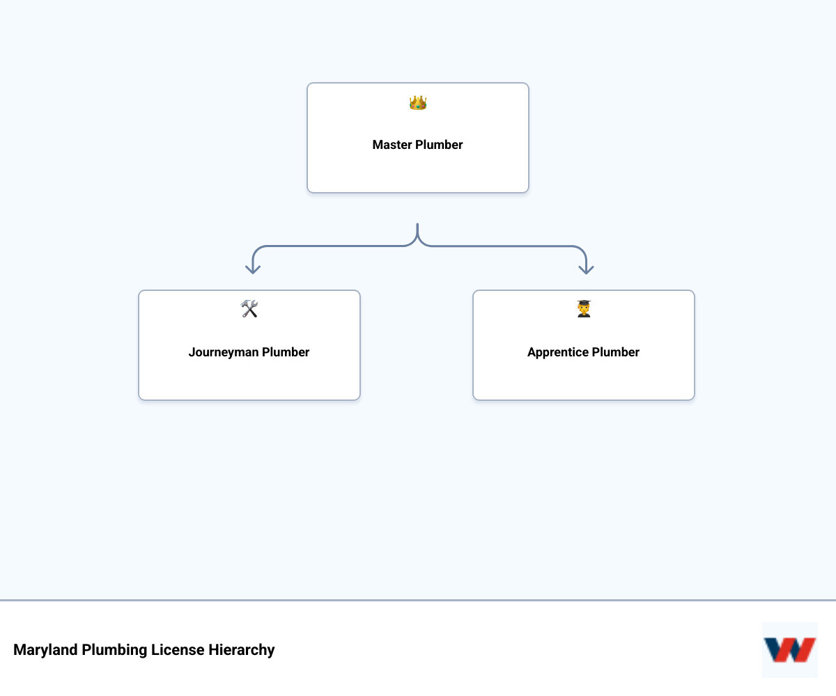 infographic showing the hierarchy of plumbing credentials in Maryland: Apprentice Plumber at the base (must be 16+ years old, works under supervision), Journeyman Plumber in the middle (7,500 hours experience, passed comprehensive exam, backflow certified, works independently), and Master Plumber at the top (3,750 additional hours as journeyman, advanced exam, can supervise others and own a business). Includes icons for licensing requirements, insurance coverage, and specialized certifications like gasfitter and backflow prevention - certified plumbing technician in ijamsville md infographic hierarchy