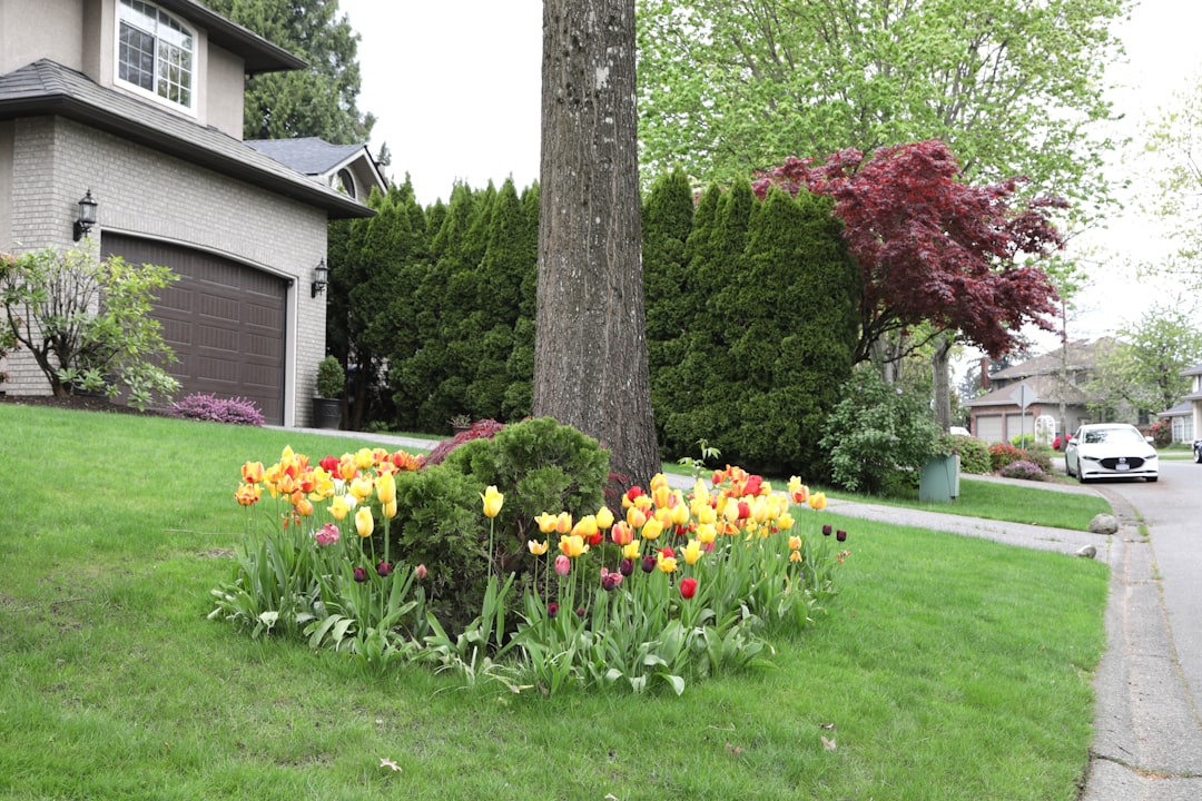 When Nature Attacks Your Sewer Line