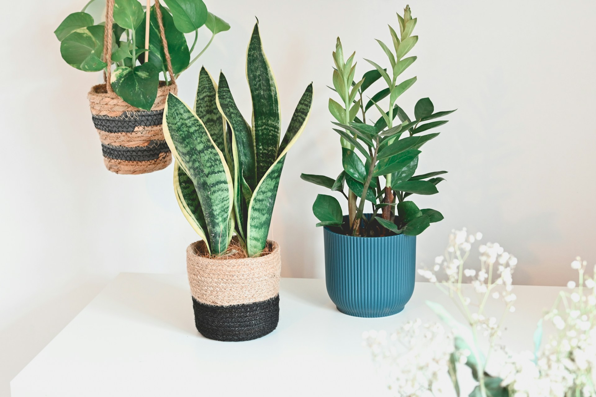 Tips to Improve Air Quality at Home