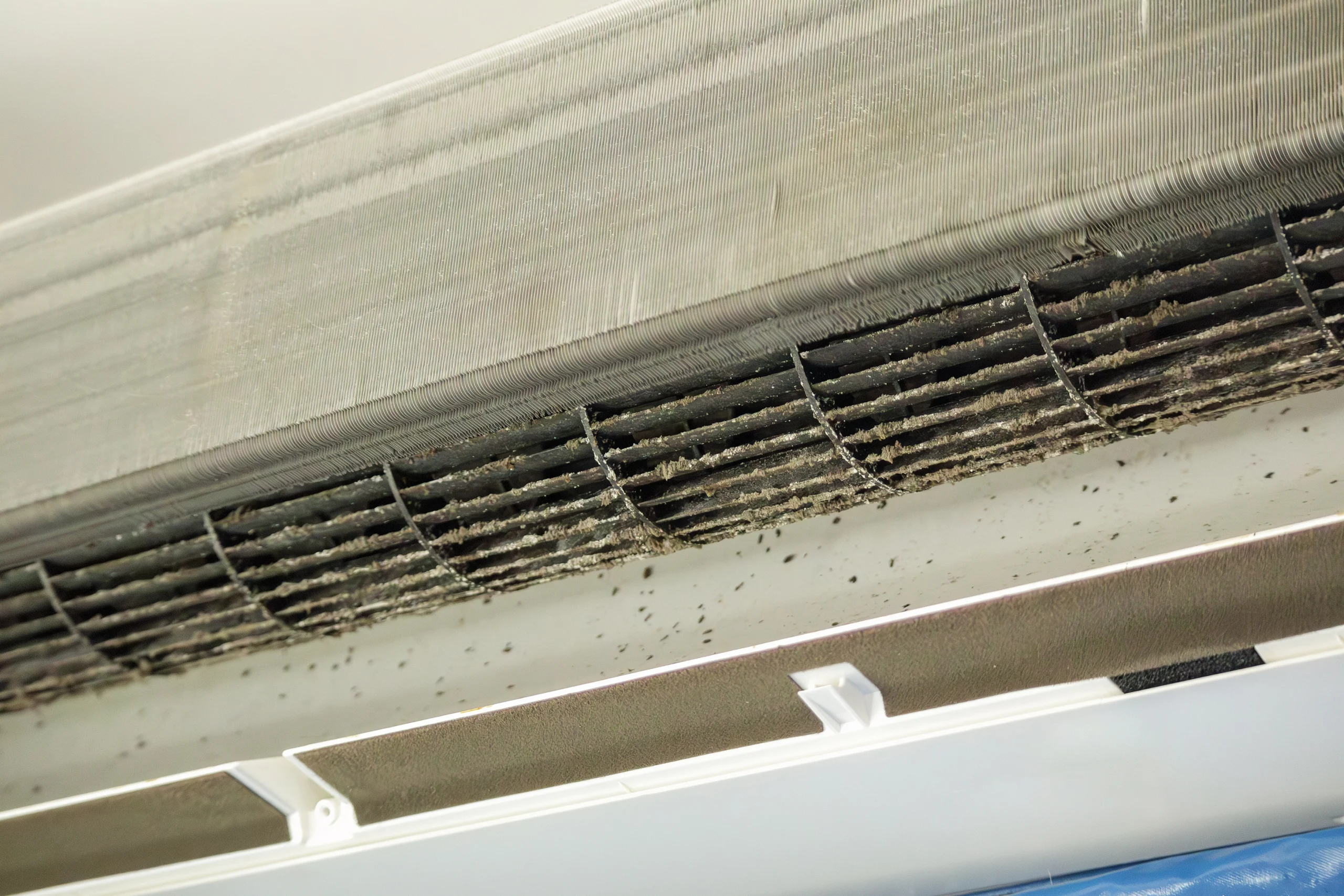How To Finally Get Rid Of Pesky Allergens And Pathogens