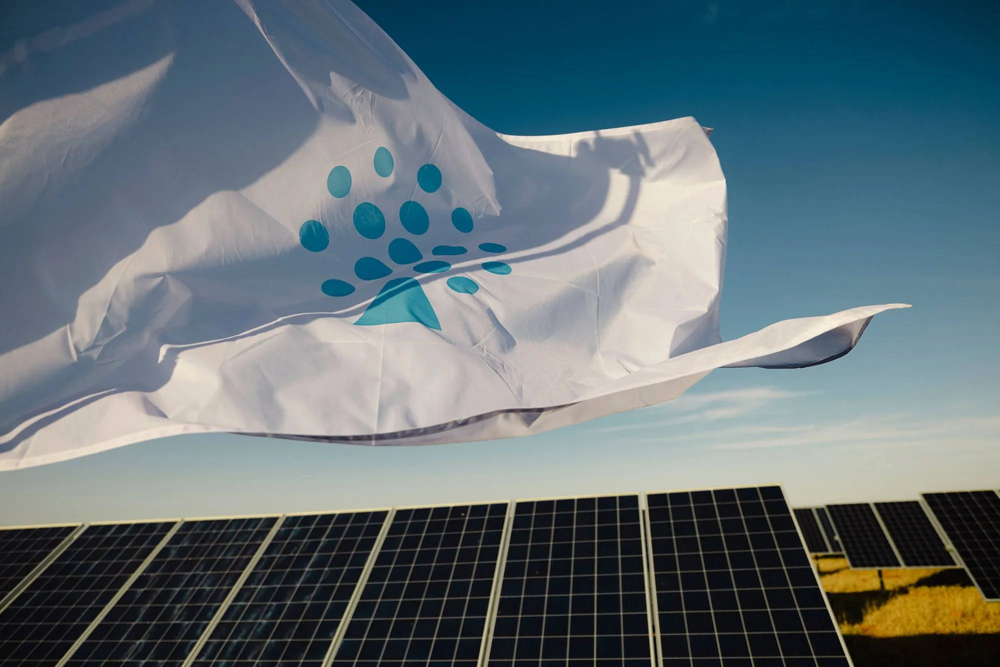 6703bb66dac4a3785ce9e273 2024 07 Project Sunny Matla 1074 P 2000