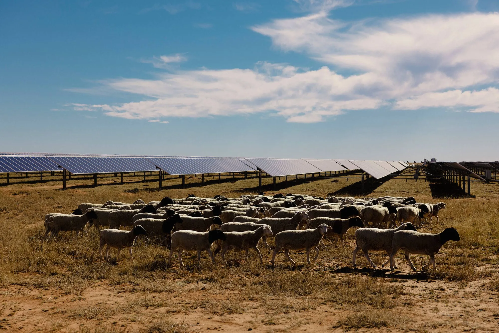 6703bcd66c53995edbe40c49 2024 07 Project Sunny Recce Matla 065 P 2000