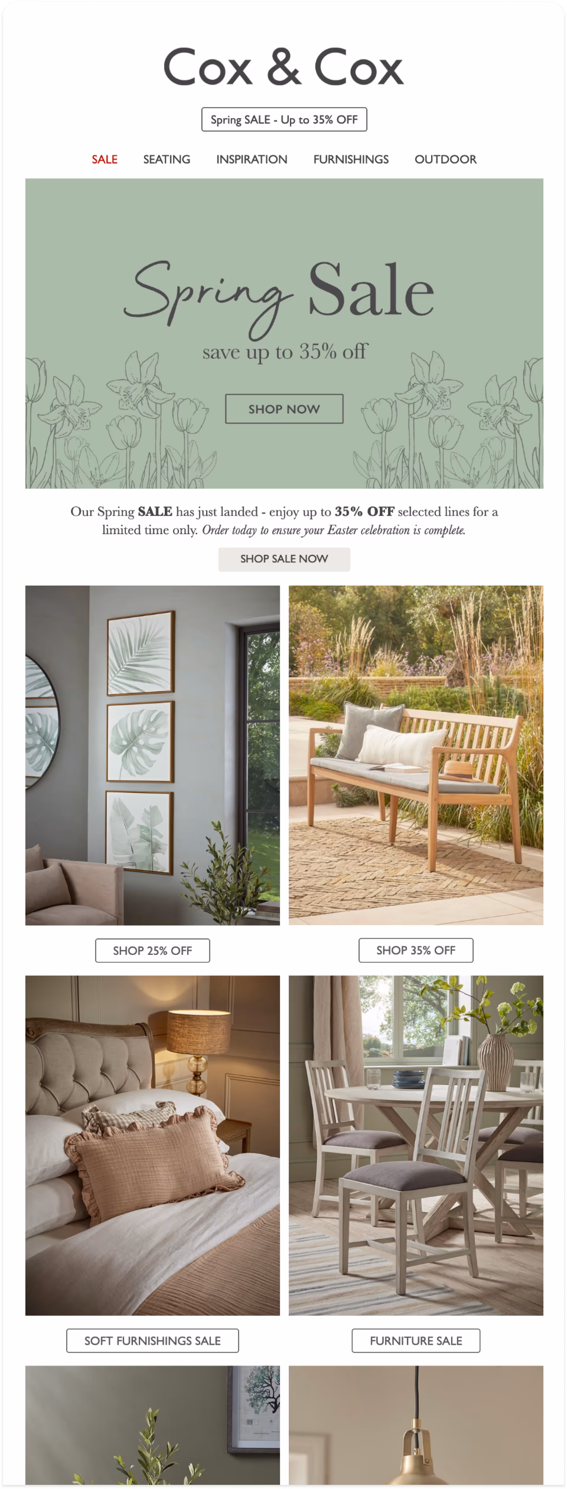 Cox & Cox email campaign designed by Enchant Agency