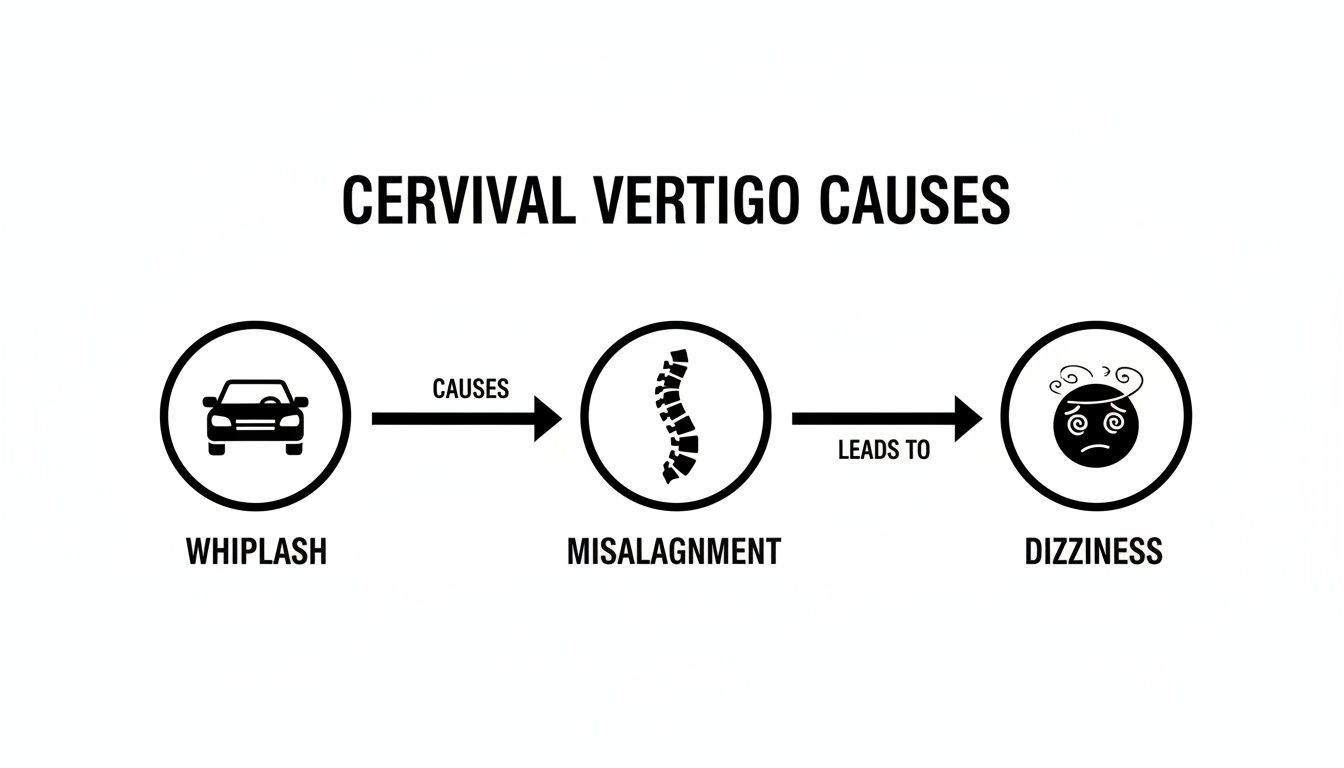 Diagram showing the causes of cervical vertigo: whiplash leads to spinal misalignment, which causes dizziness.