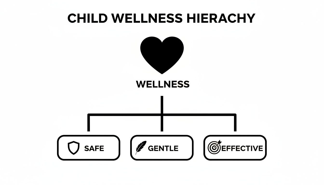 A Child Wellness Hierarchy chart with Wellness at the top, supported by Safe, Gentle, and Effective.
