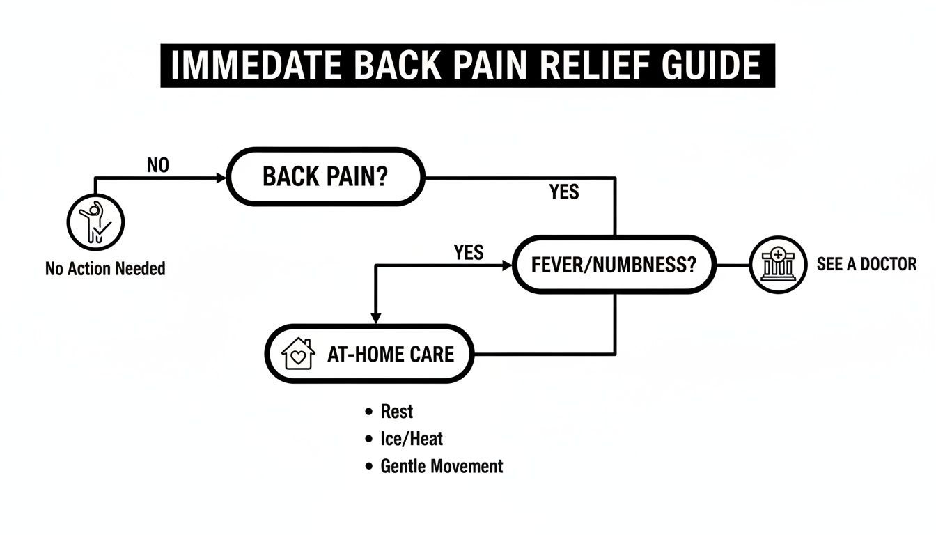 Flowchart for immediate back pain relief, guiding users on self-care at home or when to see a doctor.