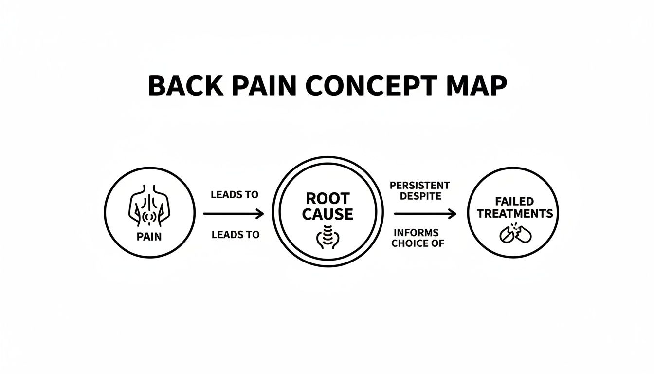 A back pain concept map illustrating the relationship between pain, root cause, and failed treatments.