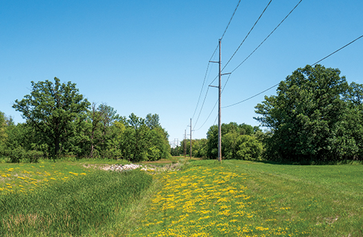Low voltage power line in a field