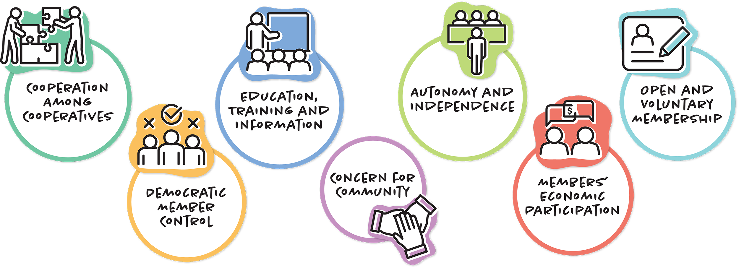 Graphic depicting the seven cooperative principles.