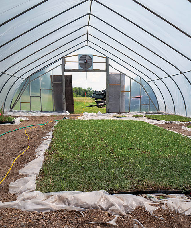 Greenhouse set up with electric technologies growing sod.