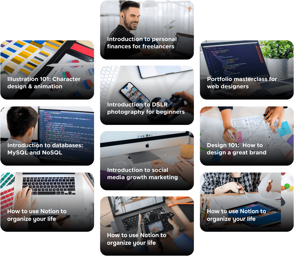 More Than 500 Courses - eLearner X Webflow Template