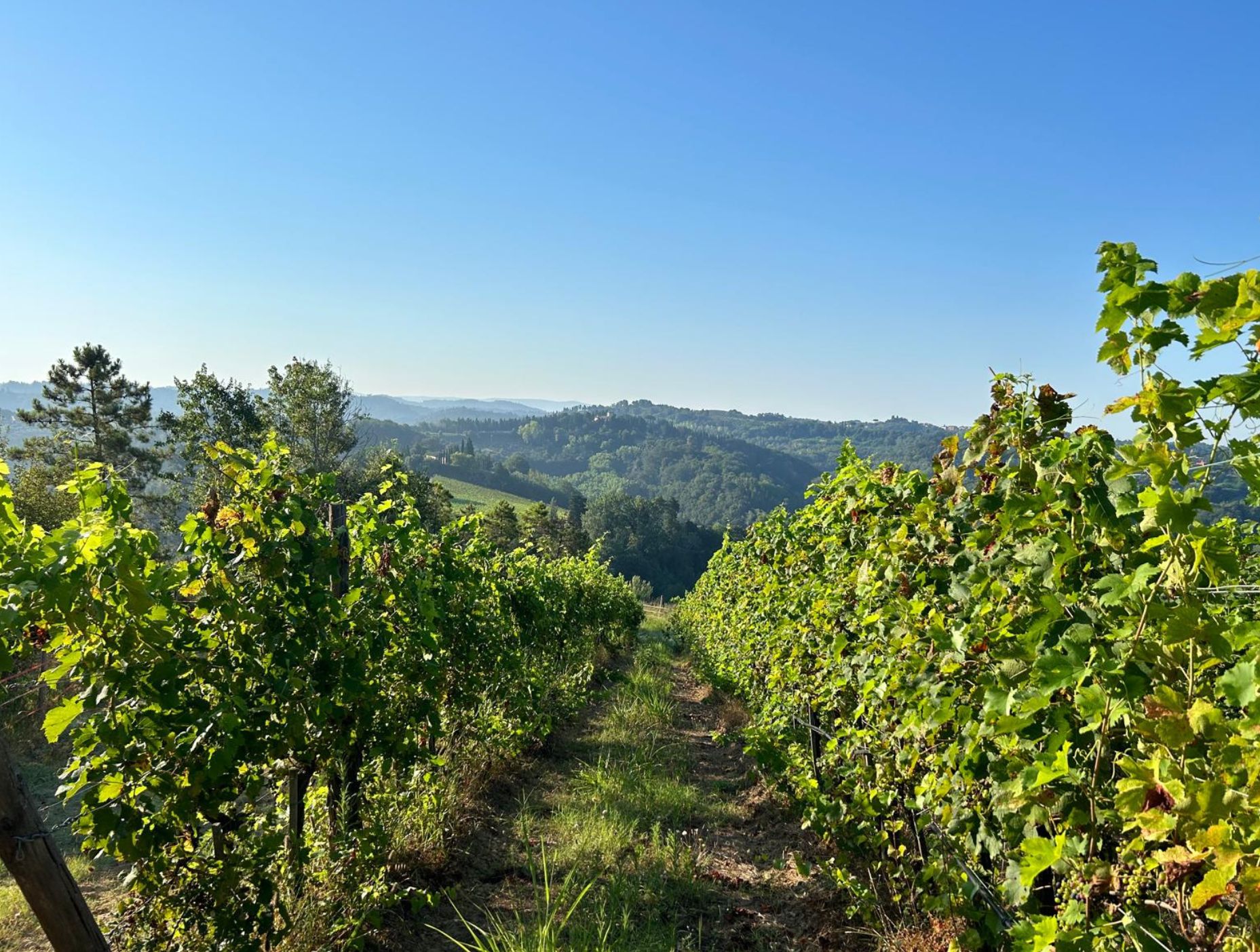 Diagnosis before strategy