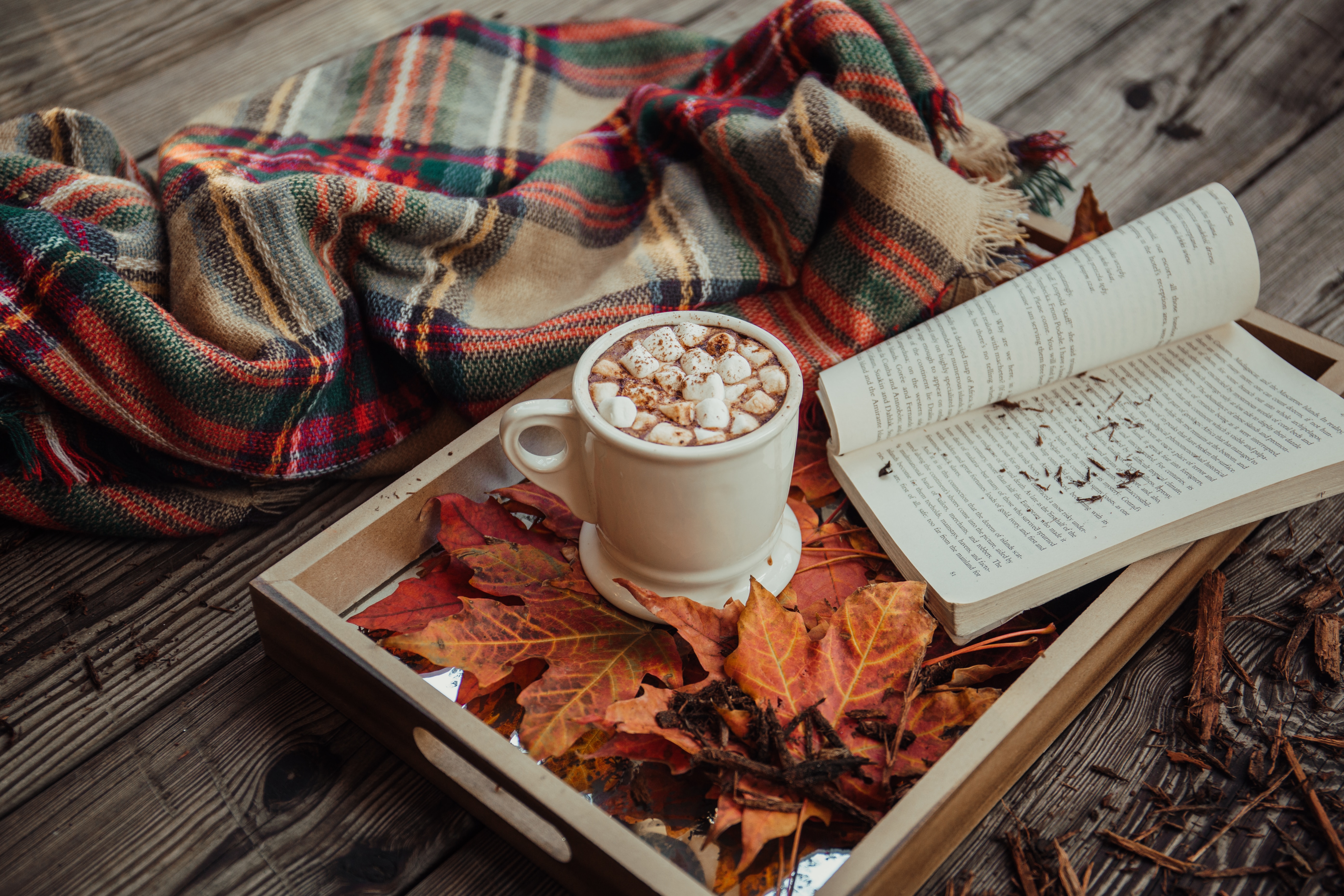 Cosy autumn evening with hot chocolate and book – enjoying comfort at home