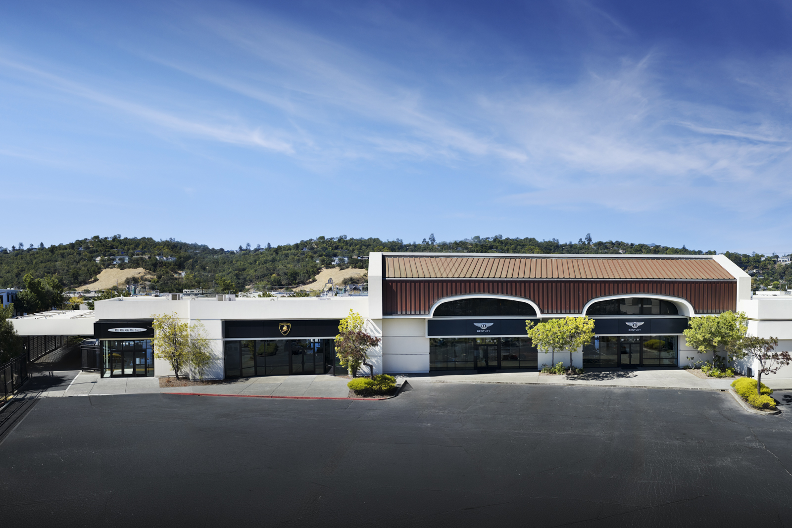 indiGO Auto Group exotics san francisco | Photo credit: indiGO Auto Group