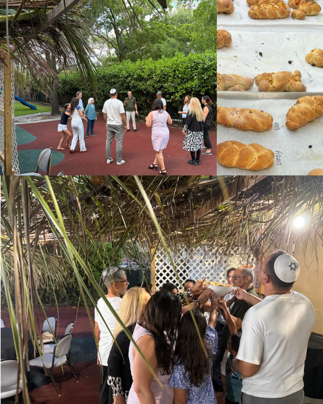 Community Sukkah Build