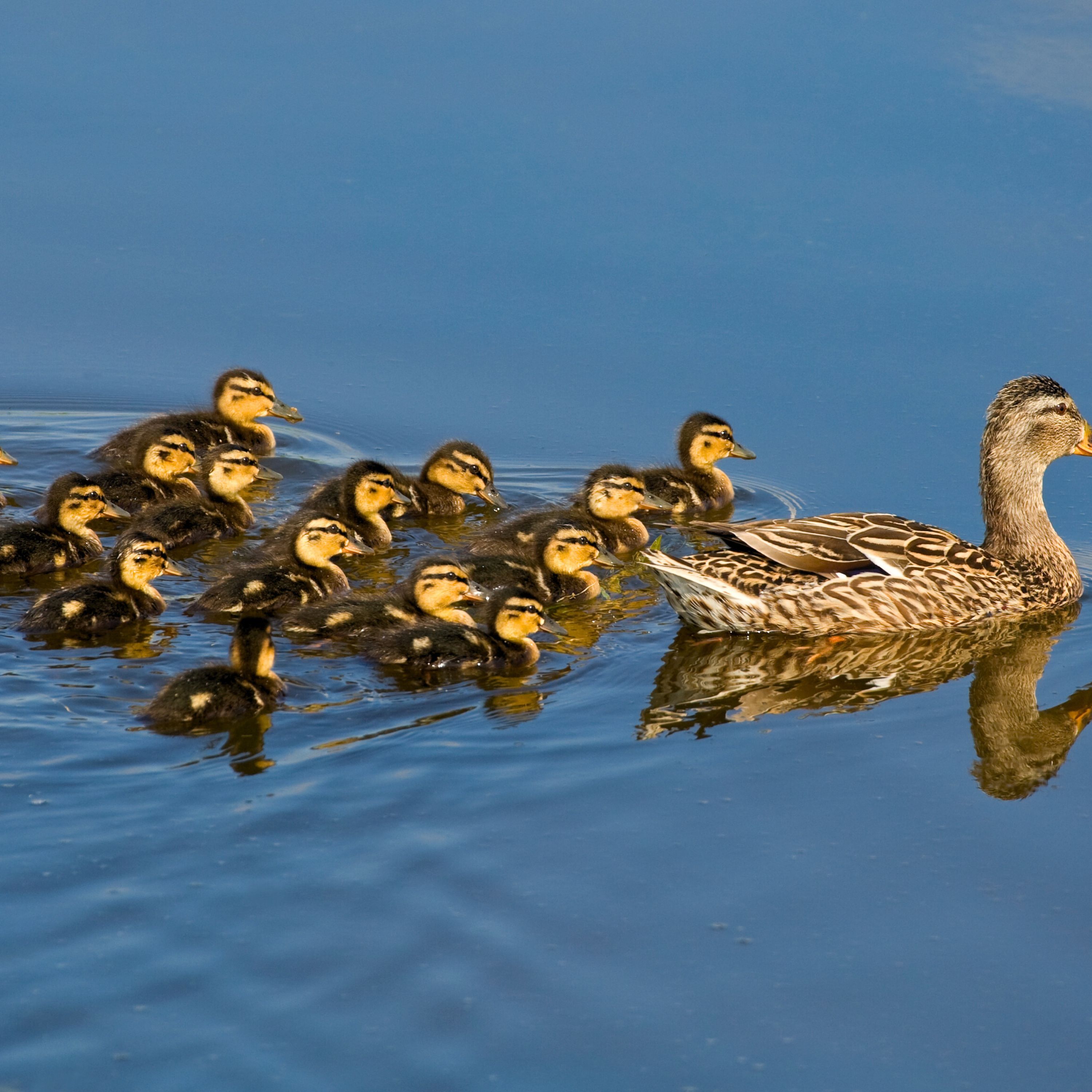 Retire in 2026? A Practical Retirement Planning Guide for Ireland