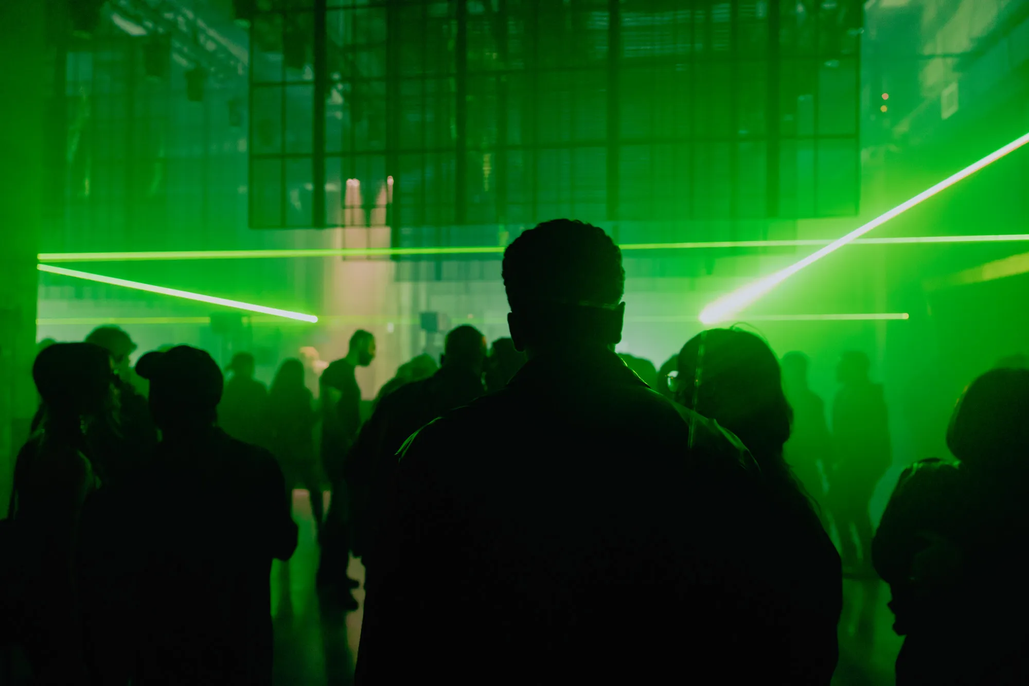 DJ Night — camoufly