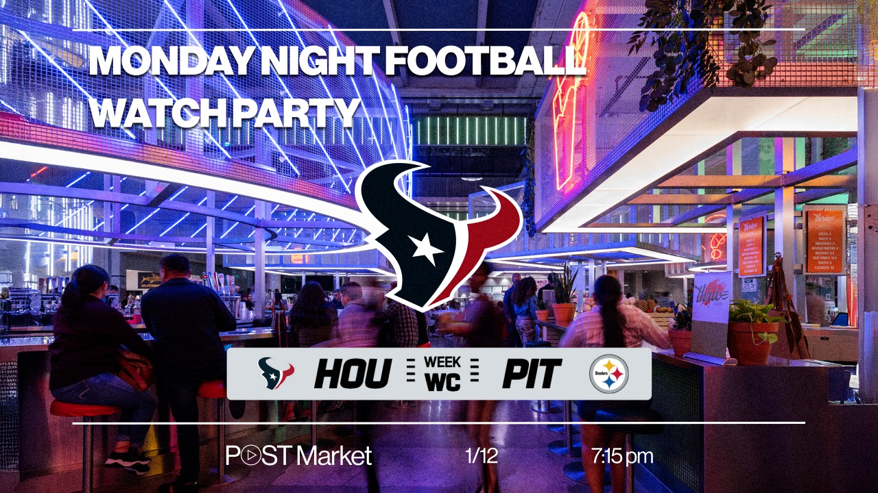 Houston Texans vs Pittsburg Steelers