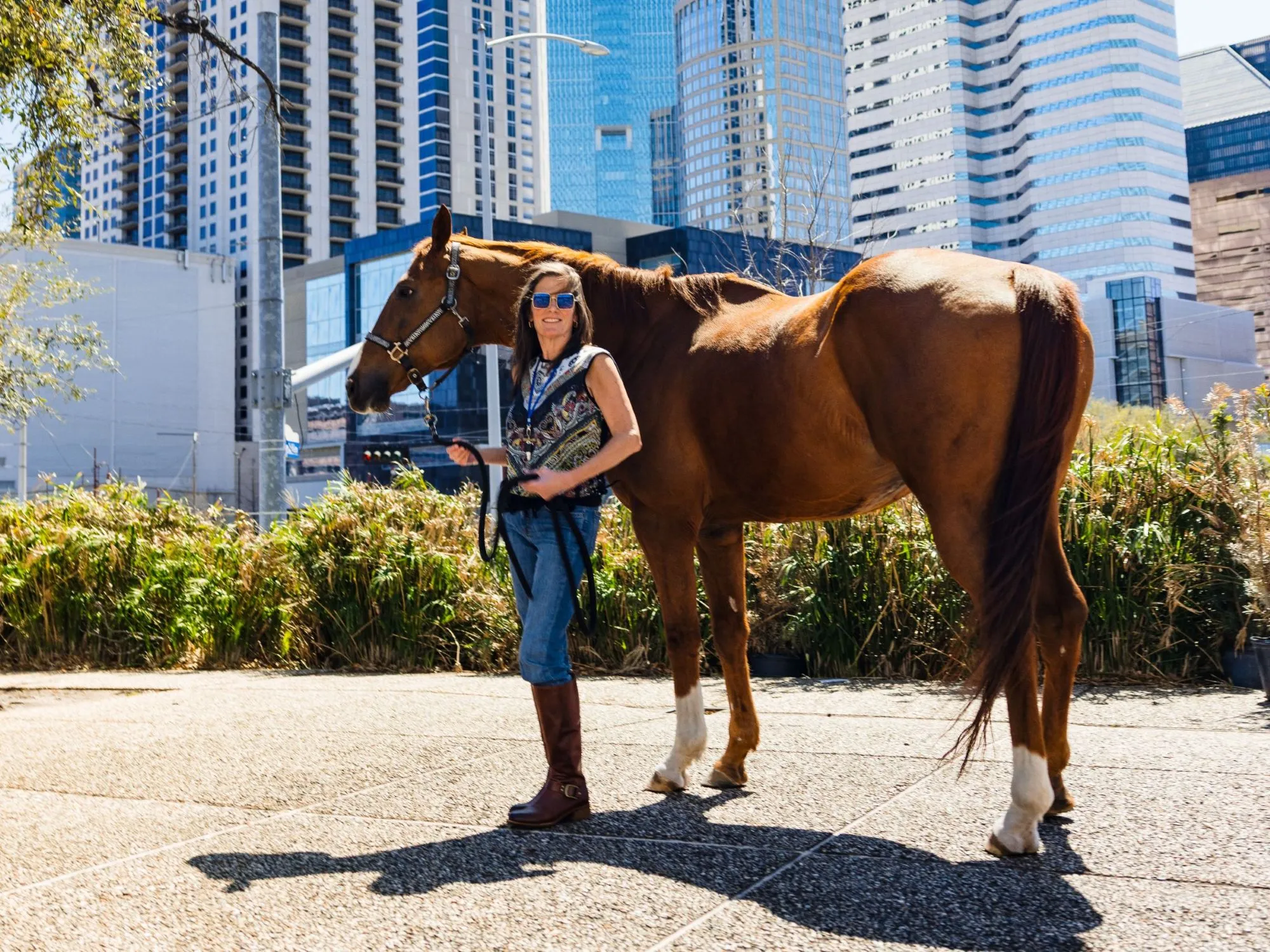 Rodeo Horse Meet and Greet