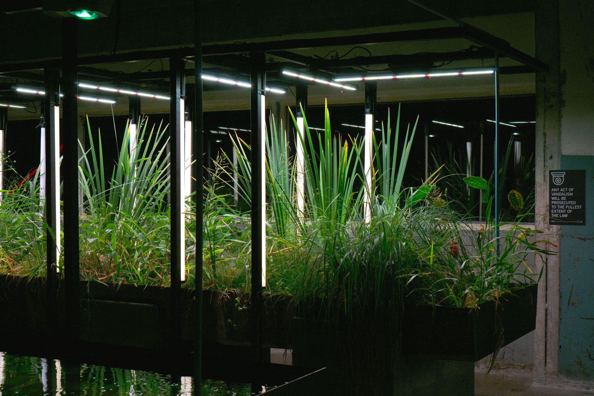 WET:LAND Learning Series: Our Solution to Flooding is Already Here