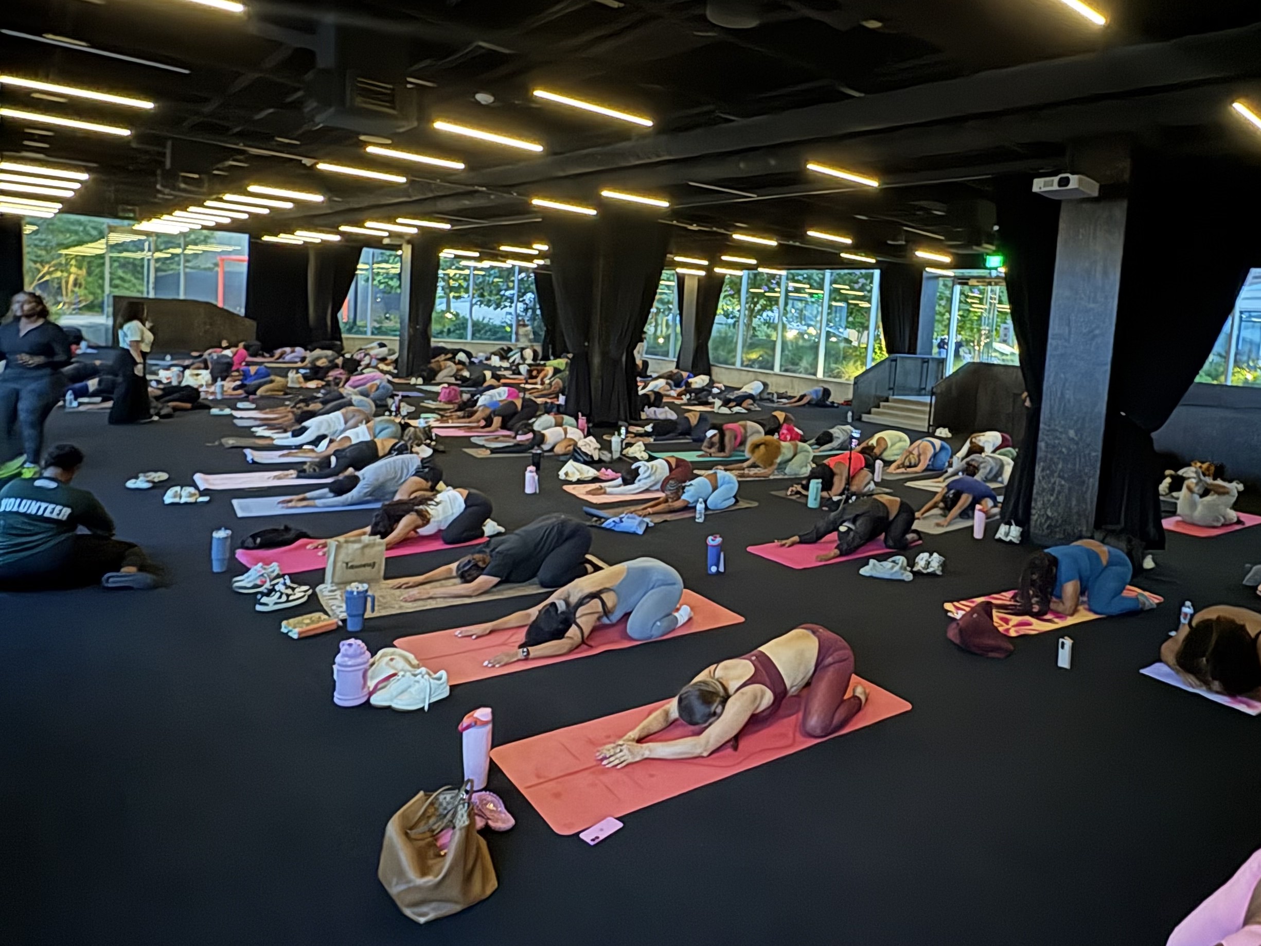 Unwind & Stretch with BendiCarmen