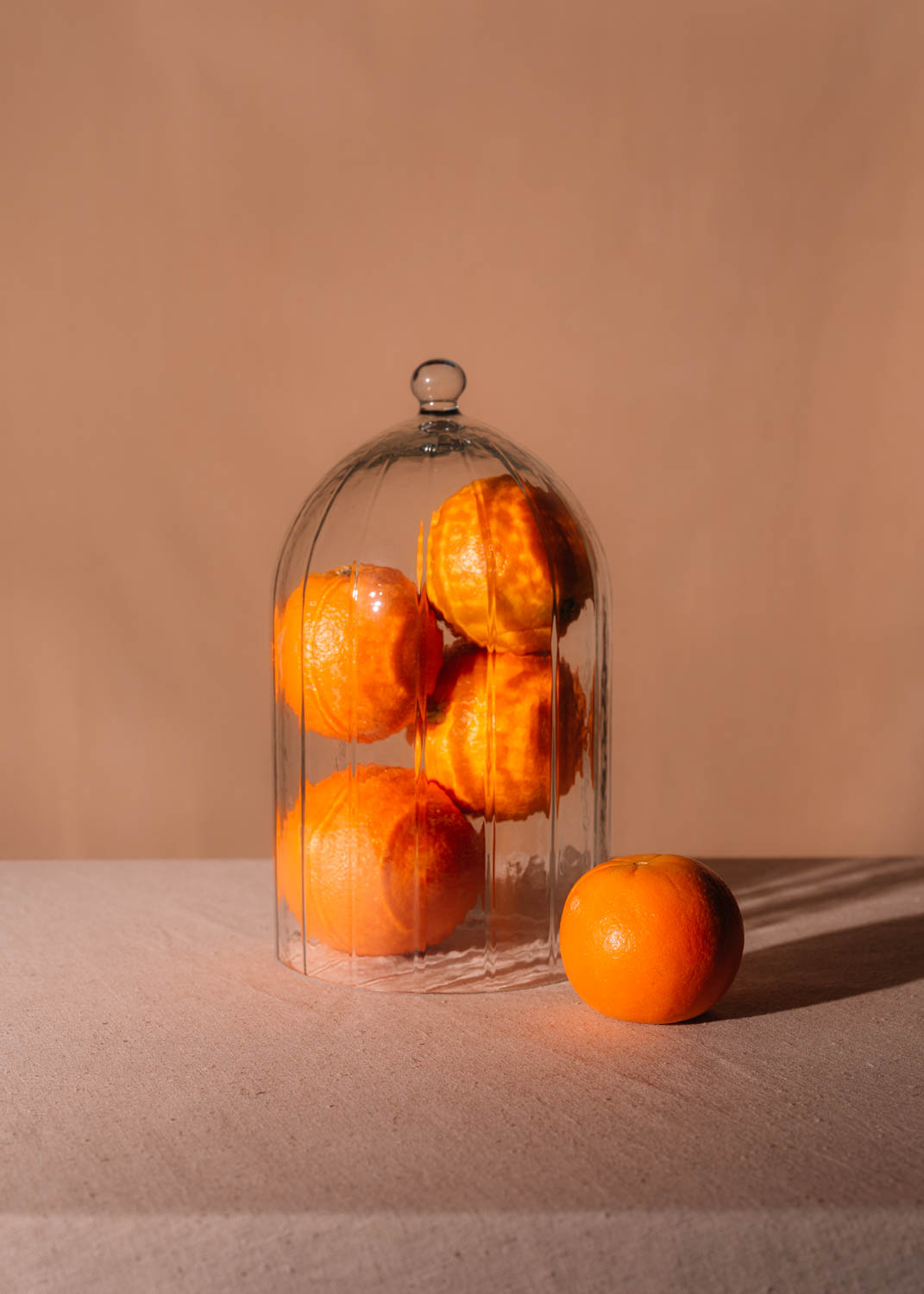 four oranges in a glass dome and one outside of it for saint citrus
