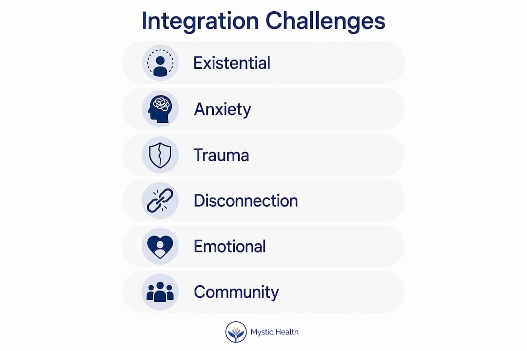 Infographic listing main post-psychedelic integration challenges
