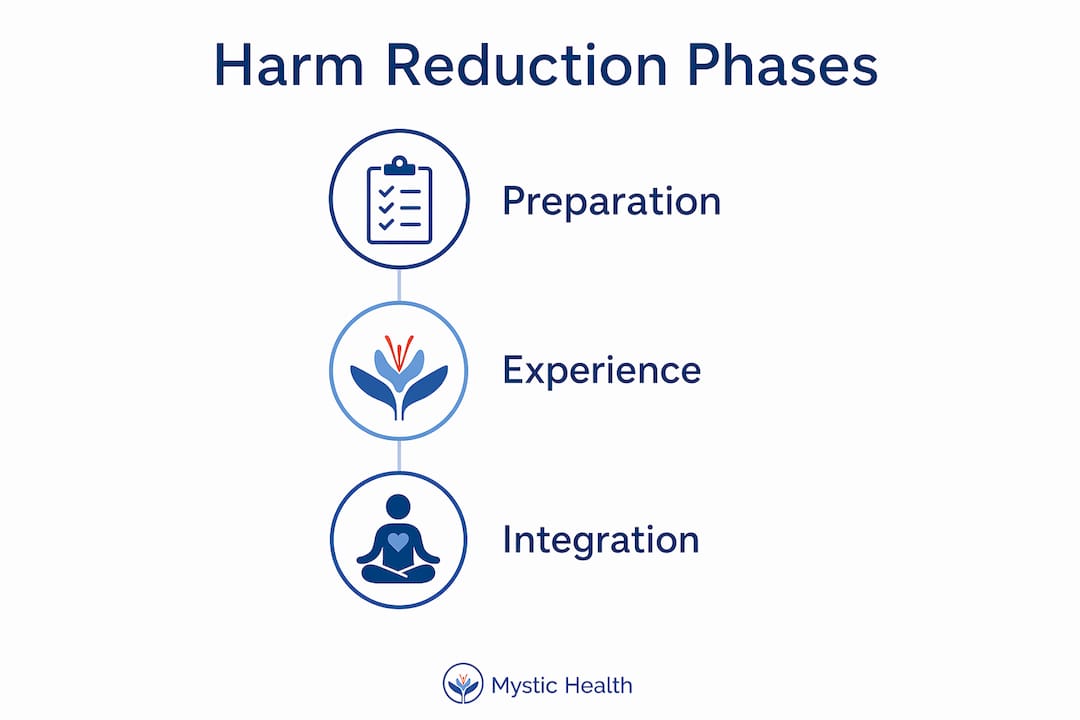 Infographic illustrating phases of psychedelic harm reduction