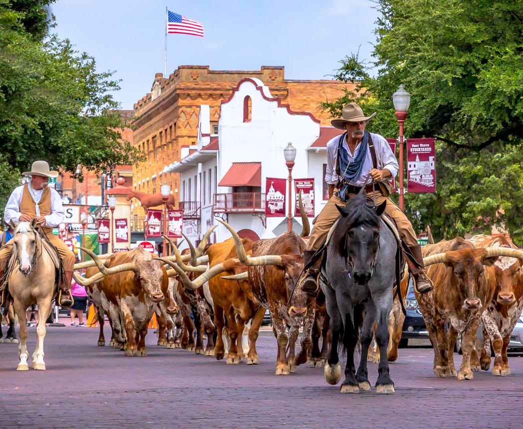Dallas-Fort Worth real estate photo