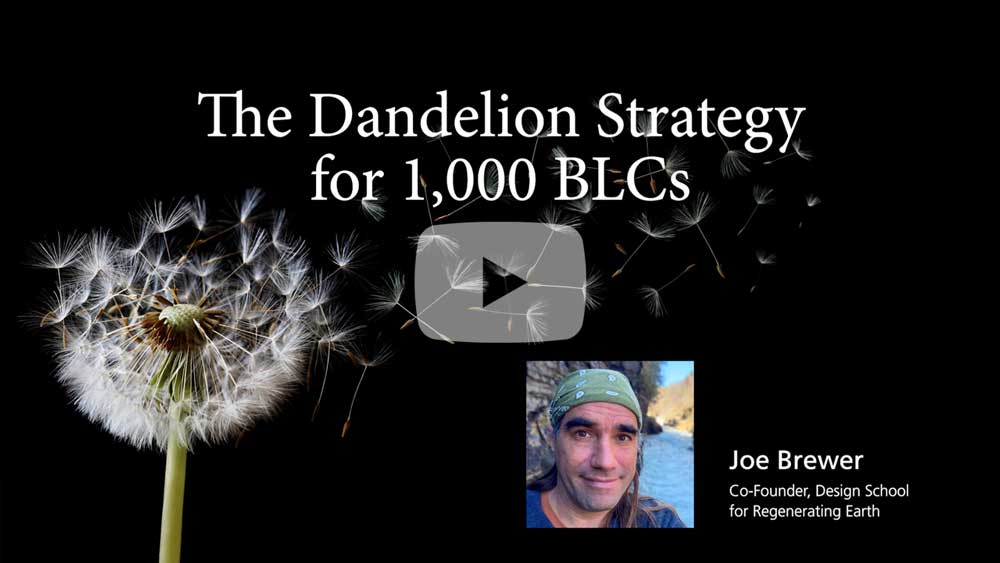 Dandelion Strategy for 1,000 BLCs by 2035
