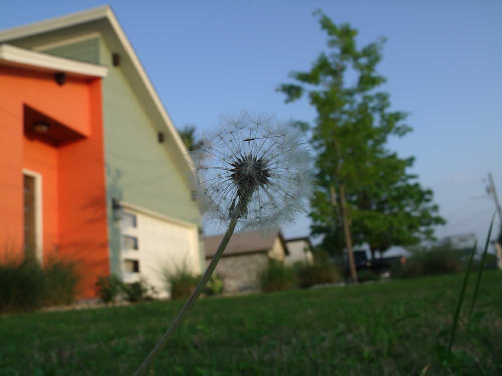 A Bioregional Learning Center